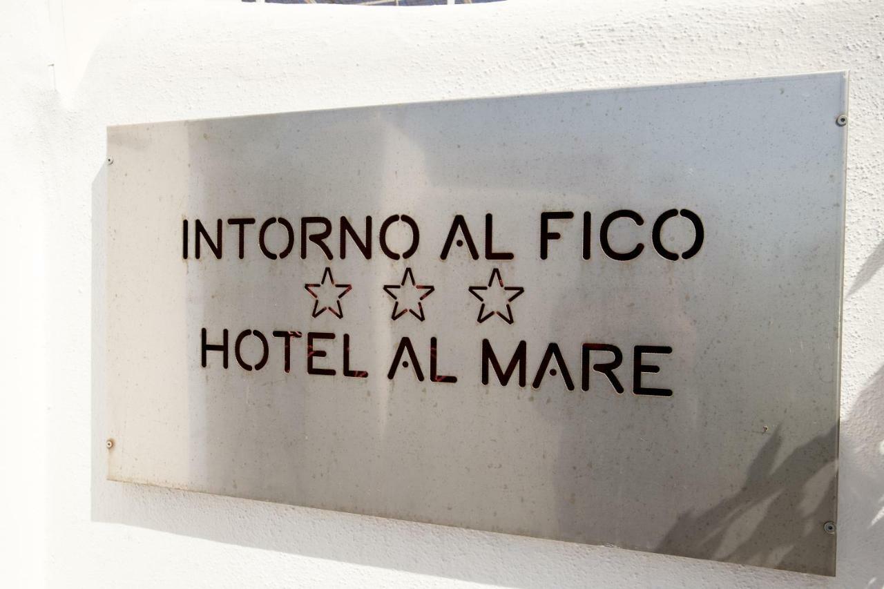 Hotel Intorno Al Fico Φιουμιτσίνο Εξωτερικό φωτογραφία